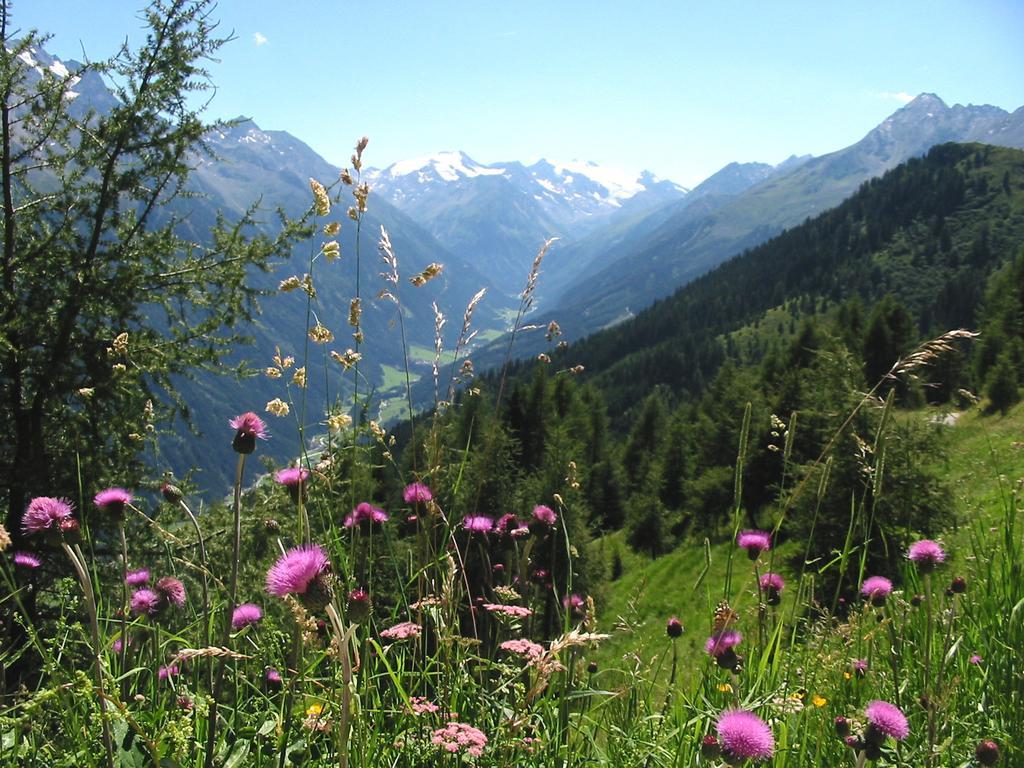 Alpenpension Pfurtscheller นอยชติฟ อิม ชตูไปทัล ภายนอก รูปภาพ